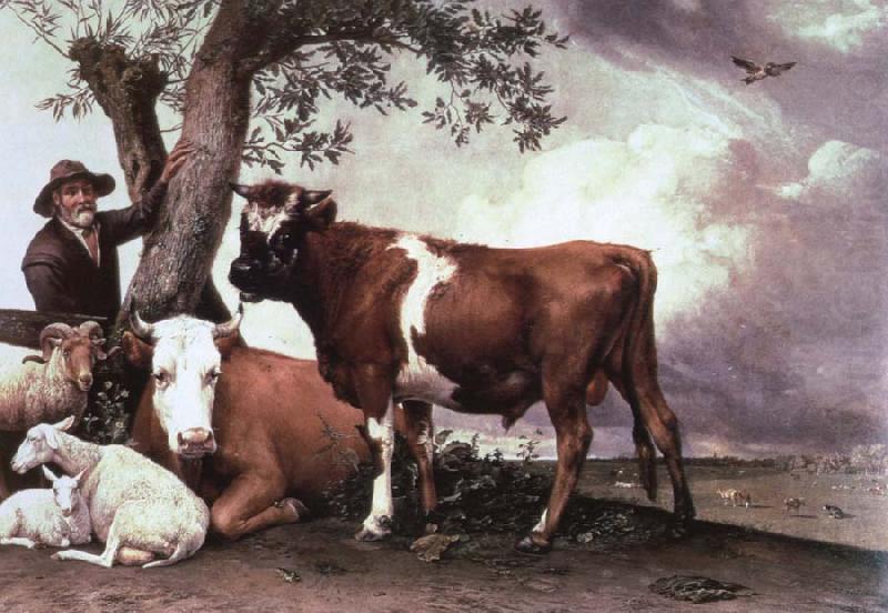 POTTER, Paulus the bull china oil painting image